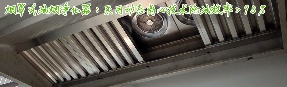 煙罩式油煙凈化器，除油效率>98%，川菜湘菜凈化首選！